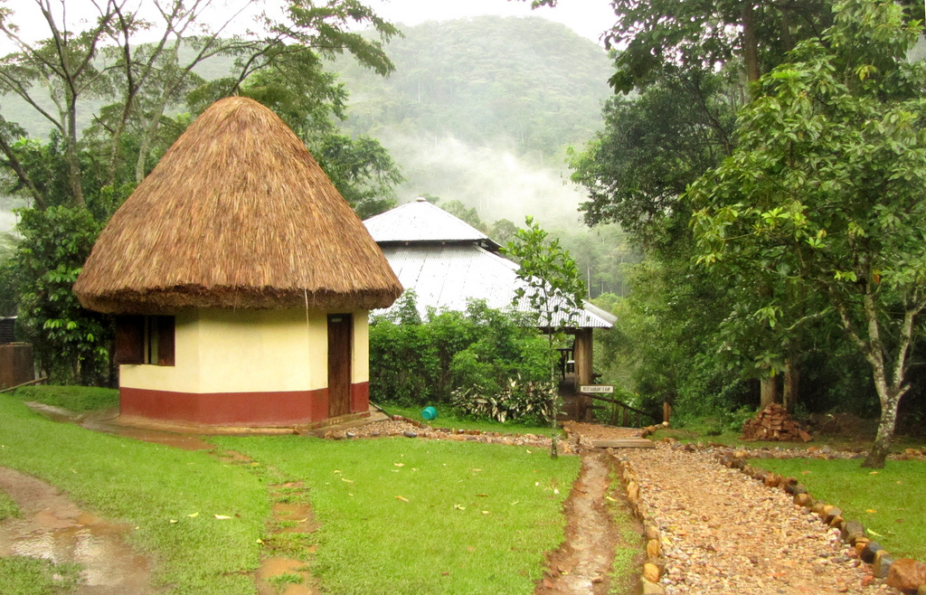 Buhoma accommodation in Bwindi